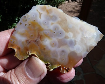 Ocean Jasper Slab