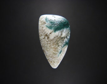 Cabochon en agate plume verte ( RARE )