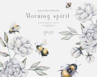 Clipart de abejorro en acuarela, ramo de peonías y marcos (PNG)