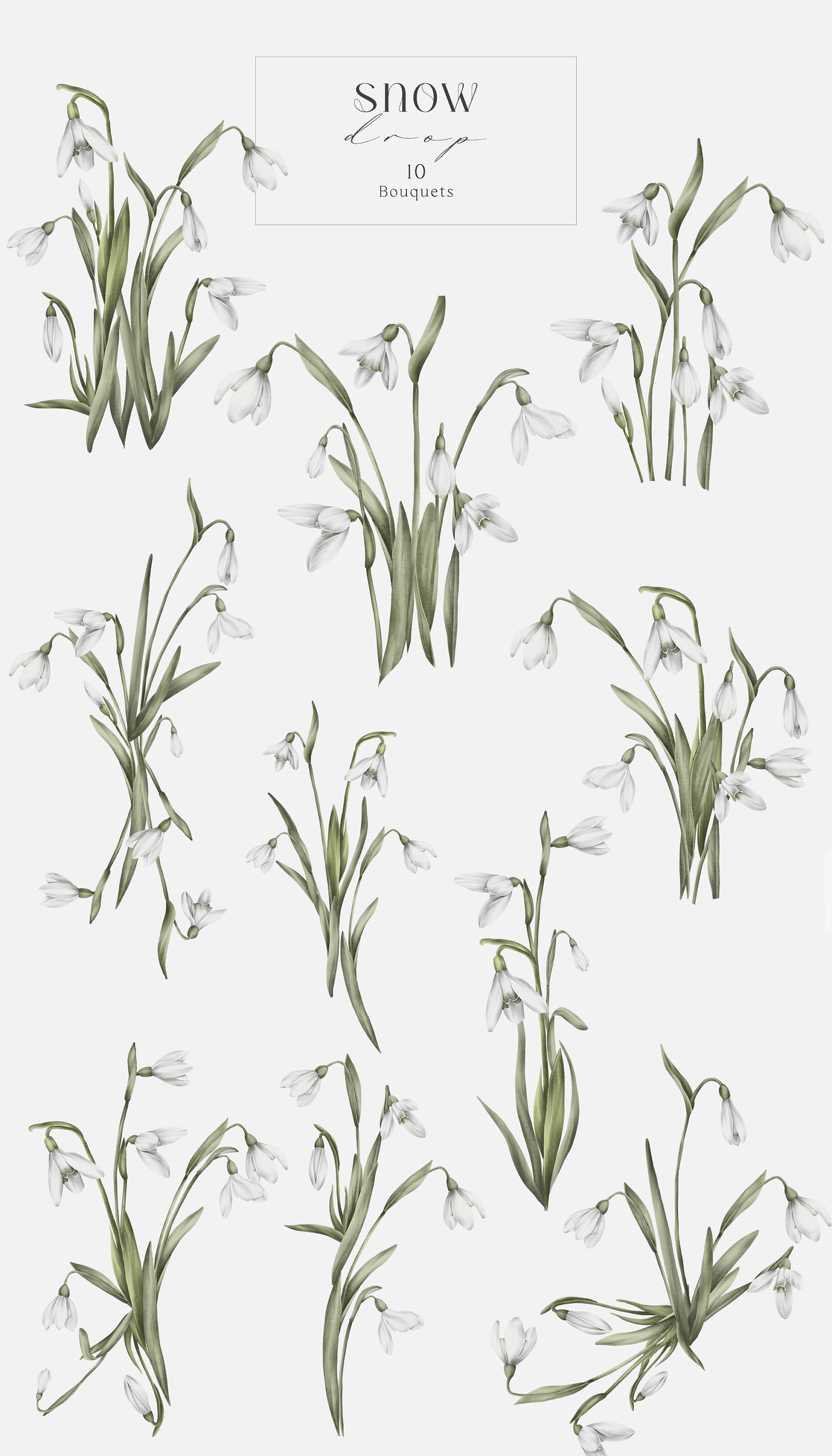 Watercolor Snowdrop Clipart Bundle | Spring Floral PNG for Crafts ...