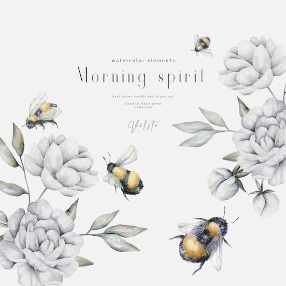 Watercolor Bumble Bee Clipart, Peony Bouquet, Frames (PNG)