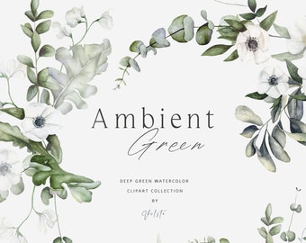 Clipart de vegetación de acuarela / Paquete de PNG florales elegantes para invitaciones y marca