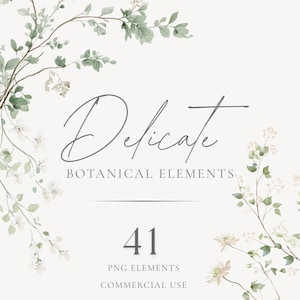 Imágenes prediseñadas botánicas delicadas en acuarela, elementos de boda con vegetación neutra (41 PNG)