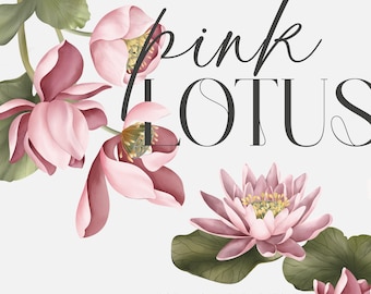 Clipart de acuarela de loto rosa / Gráficos florales pintados a mano / Descarga digital / Elementos botánicos