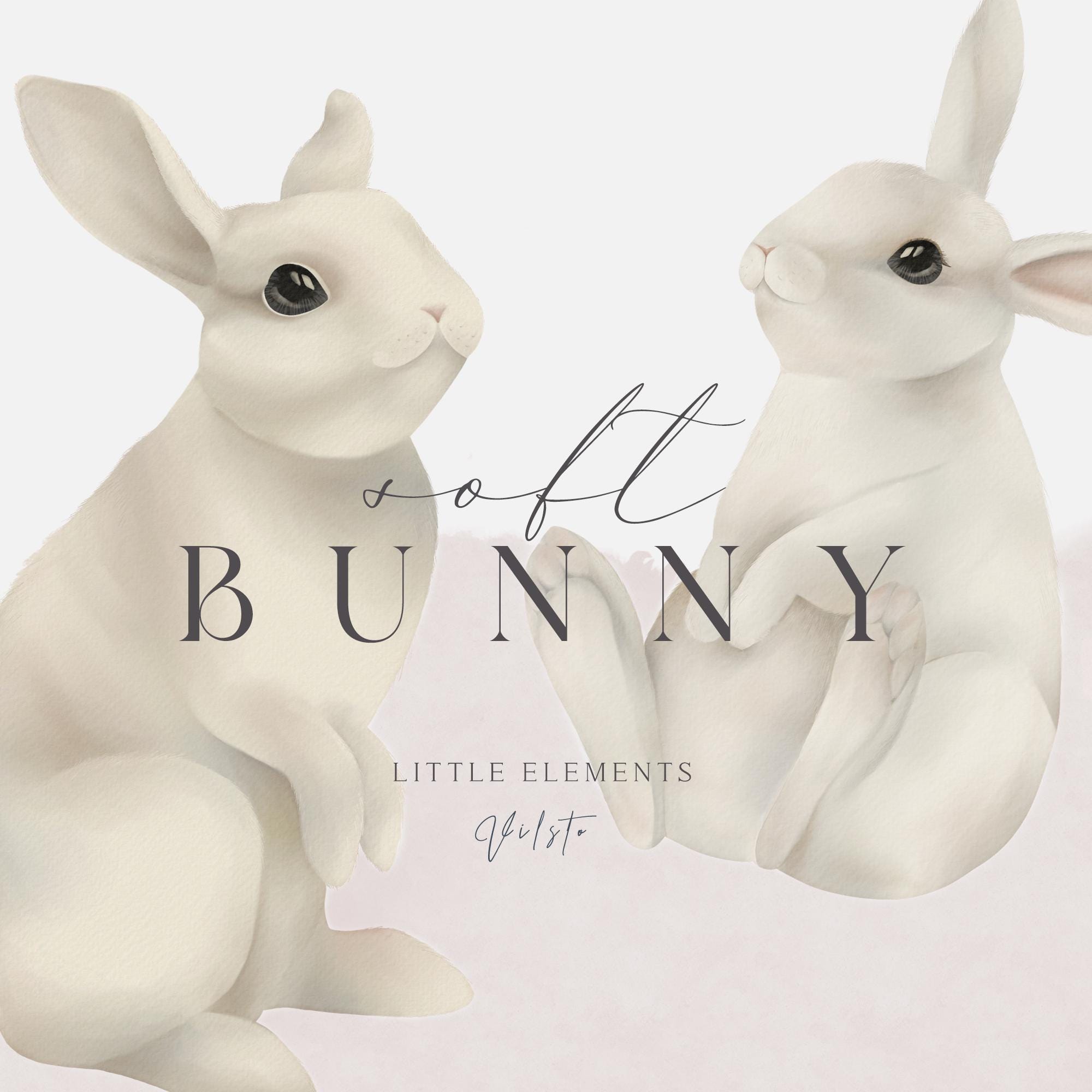 Watercolor Bunny Clipart | White Rabbit PNG Set (digital Download) - Etsy