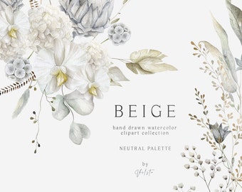 Imágenes prediseñadas de flores de verano en acuarela, conjunto de imágenes prediseñadas de flores silvestres