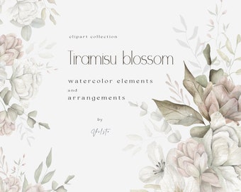 Colección de imágenes prediseñadas de flores en acuarela color beige / Imágenes prediseñadas florales suaves para invitaciones y marcas