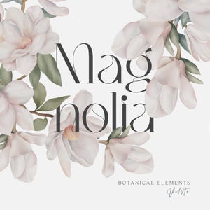 Magnolia Akwarela Clipart | Miękkie Kwiatowe Bukietowe i Ramki | Cyfrowy Zestaw PNG | Ręcznie Malowana Sztuka