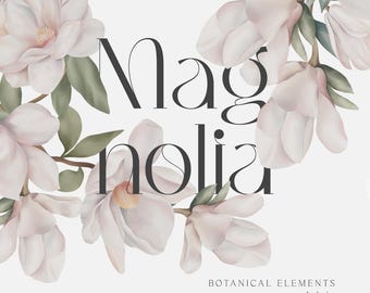 Clipart de acuarela de magnolia / Ramos y marcos florales suaves / Conjunto PNG digital / Arte pintado a mano