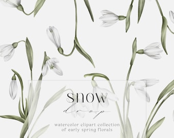 Flores de campanilla de invierno en acuarela