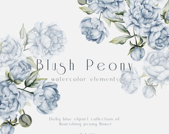 Peonía azul en acuarela: elementos florales (PNG)
