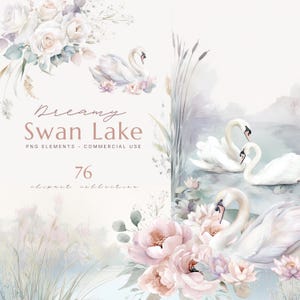 Può includere: Una collezione grafica digitale intitolata Dreamy Swan Lake con illustrazioni ad acquerello di cigni bianchi, rose rosa e bianche, fiori di loto e canne alte. Il testo recita Dreamy Swan Lake PNG ELEMENTS COMMERCIAL USE 76 clipart collection.