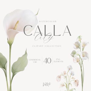 May include: Watercolor illustration featuring white calla lilies and other delicate flowers. The text "CALLA City" is displayed, along with "CLIPART COLLECTION", "COMMERCIAL USE", "40 PNG ELEMENTS", and the artist's name, "Vilsto". The design has a soft, pastel color palette.