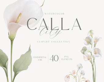 Clipart de lírios-de-cálice em aquarela, pacote de flores neutras para casamento em PNG, elementos florais minimalistas, uso comercial.