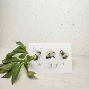 Pode incluir: Um cart&atilde;o branco com tr&ecirc;s ilustra&ccedil;&otilde;es de zang&otilde;es pintadas em aquarela. O cart&atilde;o tem o texto "Morning spirit" e "hand drawn bumble bee clipart set, botanical white peony collection" impresso nele.