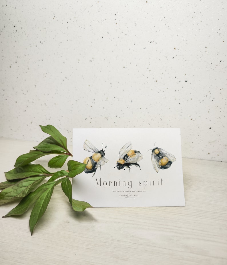 Pode incluir: Um cart&atilde;o branco com tr&ecirc;s ilustra&ccedil;&otilde;es de zang&otilde;es pintadas em aquarela. O cart&atilde;o tem o texto "Morning spirit" e "hand drawn bumble bee clipart set, botanical white peony collection" impresso nele.