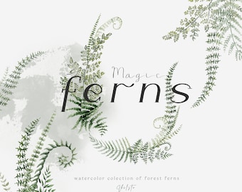 Paquete de imágenes prediseñadas de helechos en acuarela, imágenes prediseñadas de hojas de bosque, vegetación para bodas, diario creativo