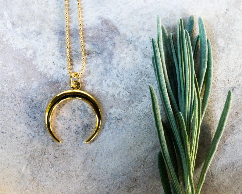 Double horn necklace Gold crescent moon necklace Ccc11b Sister in law gift Crescent moon necklace Gold horn necklace Protection amulet