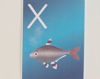 X is for X-Ray Tetra