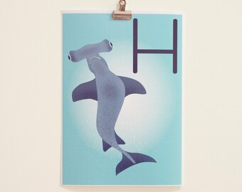 H ist für Hammerhai