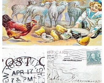 Antique Easter Embossed Postcard 1908 Boy Farm Chicks Green Franklin 1Cent Stamp