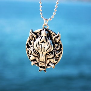 Può includere: Una collana d'argento con un ciondolo rotondo che presenta un design a testa di lupo. Il ciondolo è dettagliato con un viso di lupo stilizzato e testurizzato.