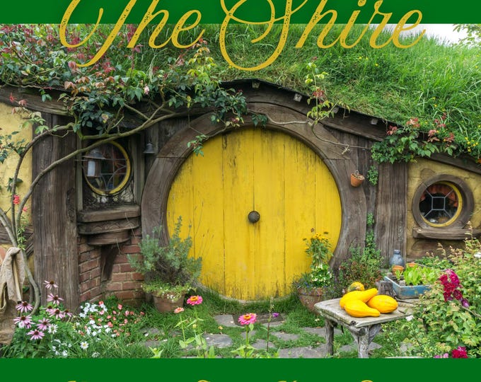 The Shire Mystery Sock Yarn Club - June 2025