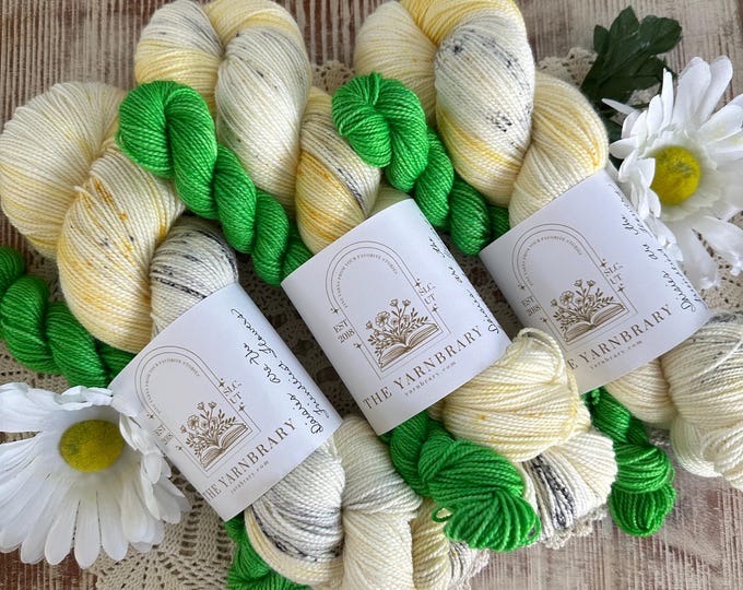 Shop Around the Corner Sock Yarn Club - May 2025