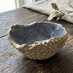 May include: A small, round ceramic bowl with a textured, beige, scale-like exterior and a smooth, mottled blue interior. The rim of the bowl is uneven and organic in shape, contrasting with the detailed, repetitive pattern on the outer surface.