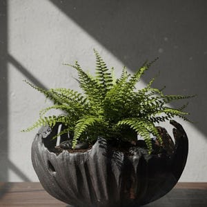 Wave Bowl Dark Stoneware | Wabi-Sabi Organic Decor | Planter | Sculptural Vessel