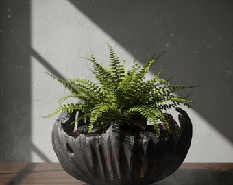 Puede incluir: Un exuberante helecho verde en una maceta redonda de cerámica gris oscuro texturizada. La maceta tiene un diseño orgánico tallado. La planta está sobre una superficie de madera con una pared gris claro al fondo. Las sombras se proyectan.