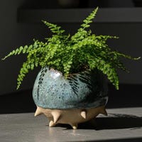 44 Spiked Centrepiece  by Sick Ceramics main image 0