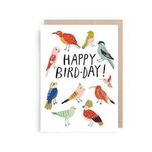 3 Pack Birthday card Bird pun Bird Lovers Happy Birthday Illustration Cats Birthday Cards Greeting Cards Pack of 3 Pack of 3 ‘Birds’