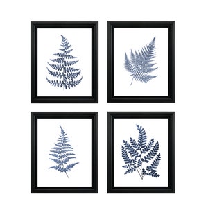 Fern Print Set of 4 - Botanical Print Download - Plant Wall Decor - INSTANT DOWNLOAD