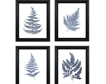 Fern Print Set de 4 - Descarga de impresión botánica - Decoración de pared de plantas - DESCARGA INSTANTE
