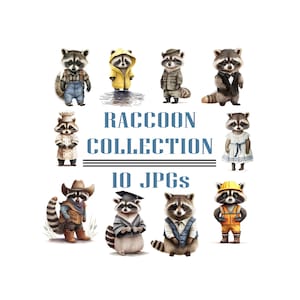 Racoon Clipart - 10 JPG de haute qualité - Téléchargement numérique - Fabrication de cartes, Clip Art, Artisanat en papier numérique