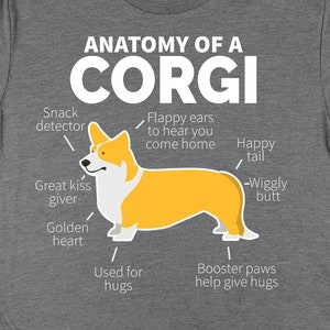 Corgi Dog Anatomy Shirt, Corgi Shirts, Corgi Gifts, Corgi Dog Shirts, Pet Dog Owner Gifts, Animal Lover and Rescue Gift TShirt
