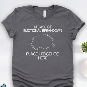 Hedgehog Emotional Breakdown Shirt, Hedgehog Shirts, Hedgehog Gifts, Pet Hedgehog Shirts, Animal Lover Gift TShirt