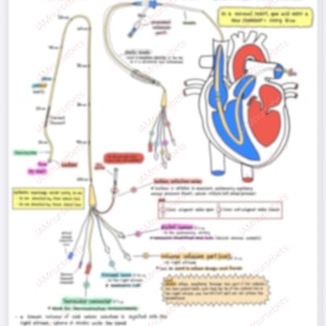 Hämodynamisches Monitorsystem mit einem Swan-Ganz (Pulmonalarterien) Catheter Hinweise