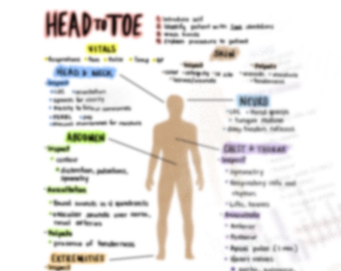 Head to Toe Assessment Reference Card - Etsy