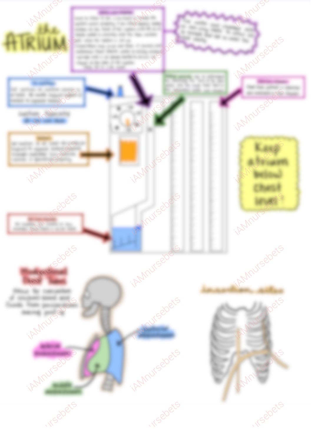 Chest Tube Notes - Etsy