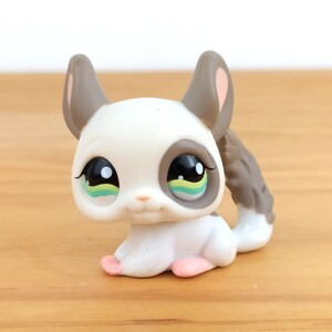 LPS Chinchilla #1018 White and Grey Authentic Littlest Pet Shop