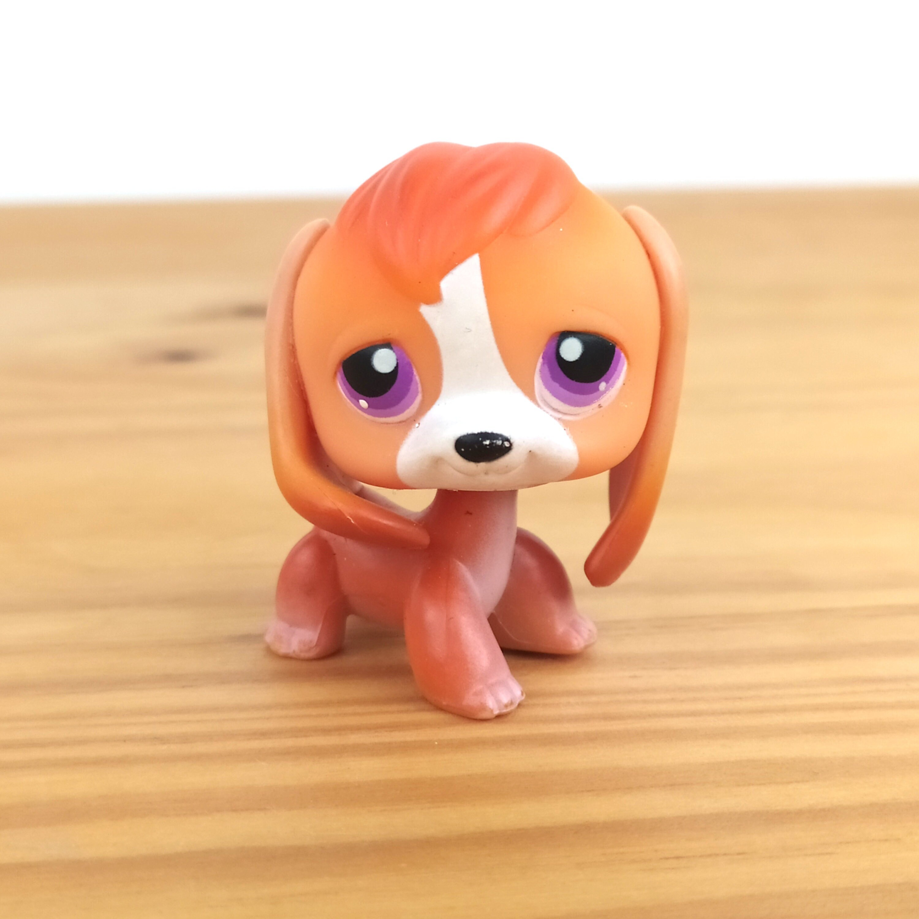 Littlest pet top shop beagle