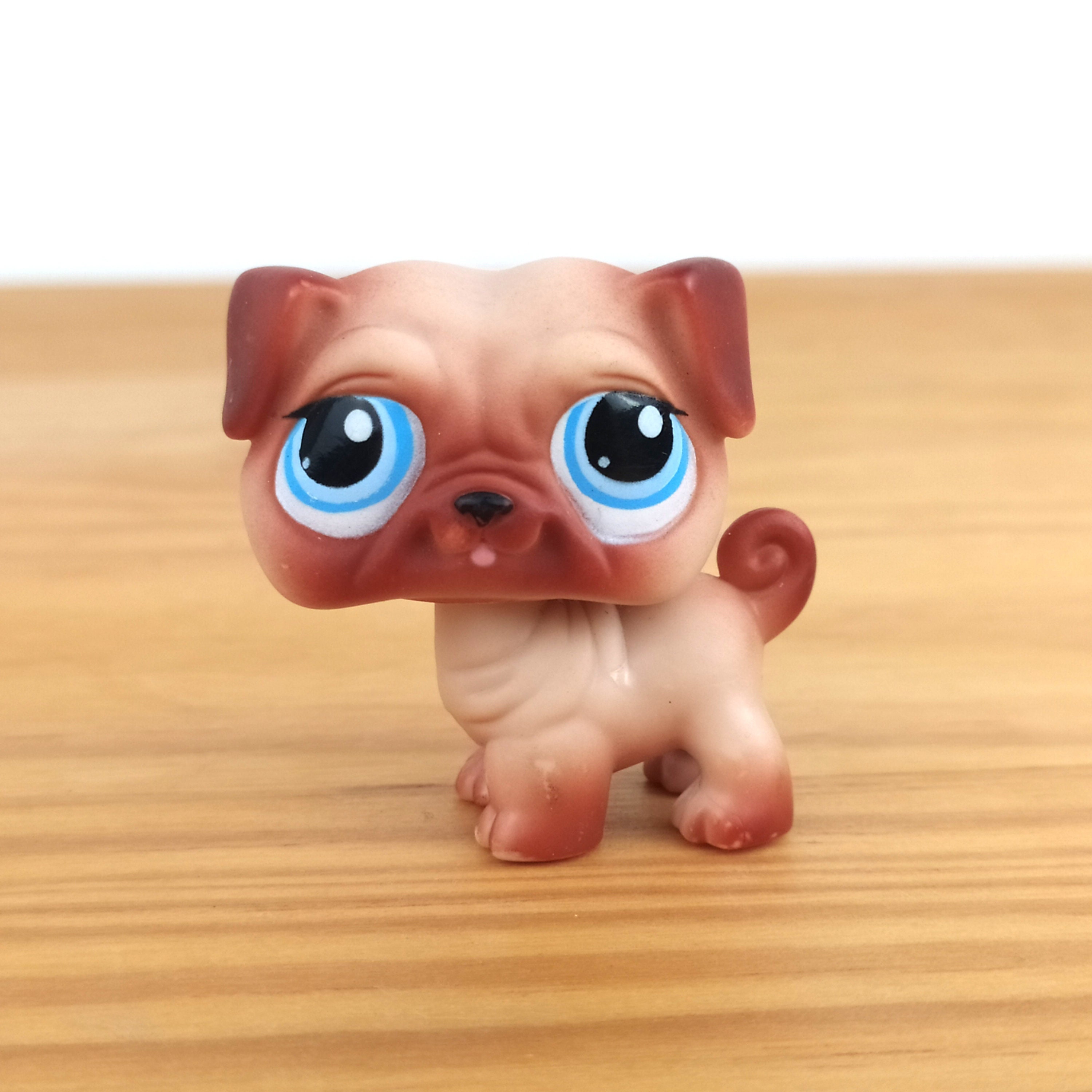 Pug pet hotsell shop near me