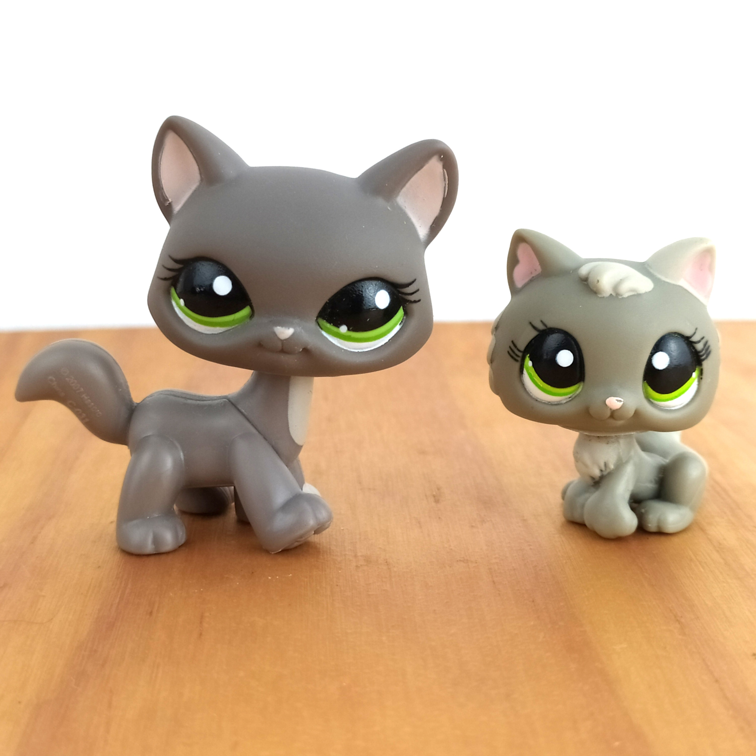 Hasbro Littlest PetShop PET SHOP #1326 Chat MAINE COON