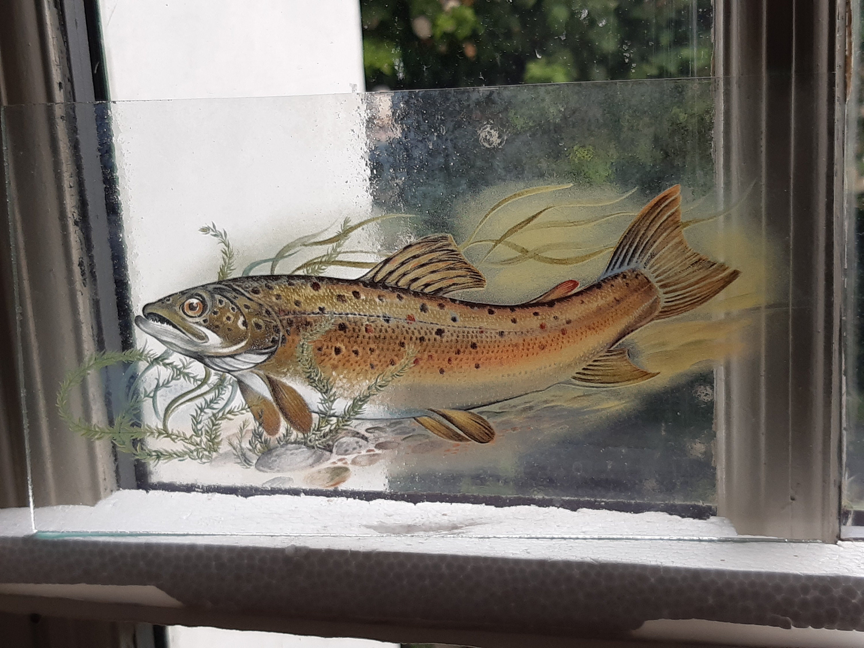 Stained Glass Brown Trout Fish rare vintage Kiln fired glass Etsy