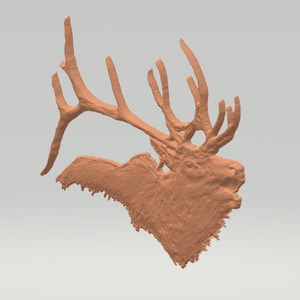 May include: A 3D printed model of an elk head with antlers. The model is made of a light brown plastic and is detailed with textured fur.