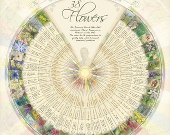 Affiche murale de fleurs de Bach pour les 38 essences. A1