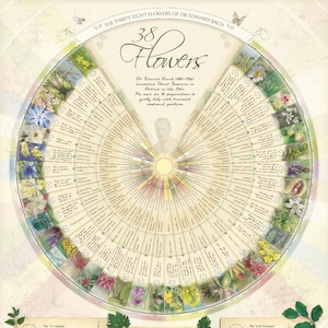 Bach Flower Poster Wall Chart for the 38 Essences. A1