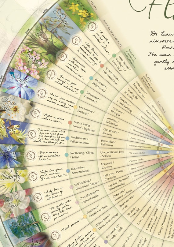 Bach Flower Poster Wall Chart for the 38 Essences. A1 - Etsy Australia